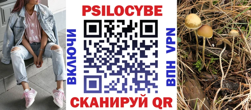 Галлюциногенные грибы GOLDEN TEACHER  Мезень 