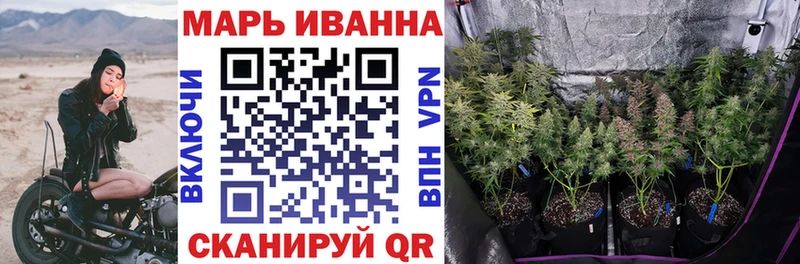 как найти   Мезень  Канабис конопля 